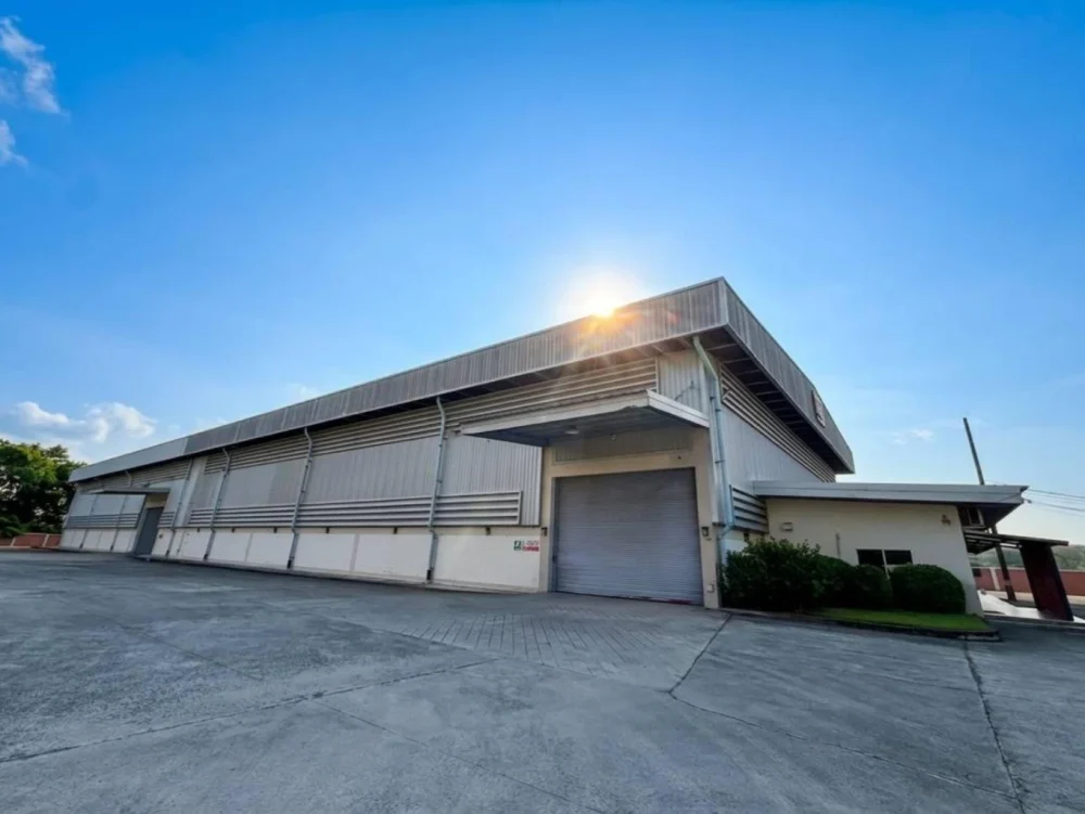 wmremove-transformed